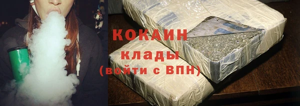 прущие грибы Богородицк
