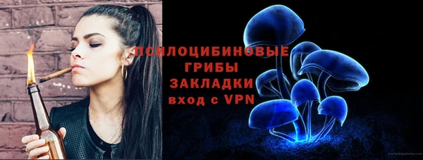 a pvp Богородск