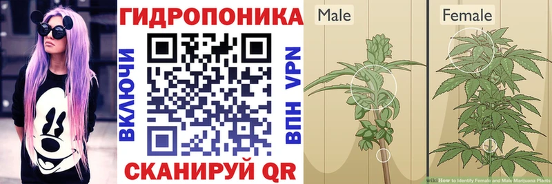закладки  Красноармейск  Шишки марихуана SATIVA & INDICA 